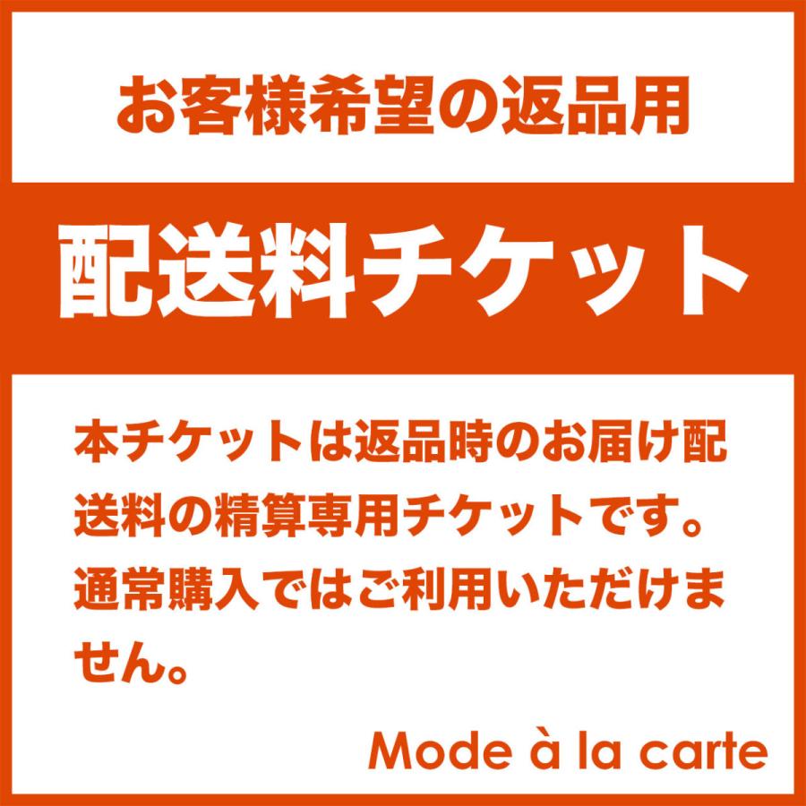 精算チケット(300)